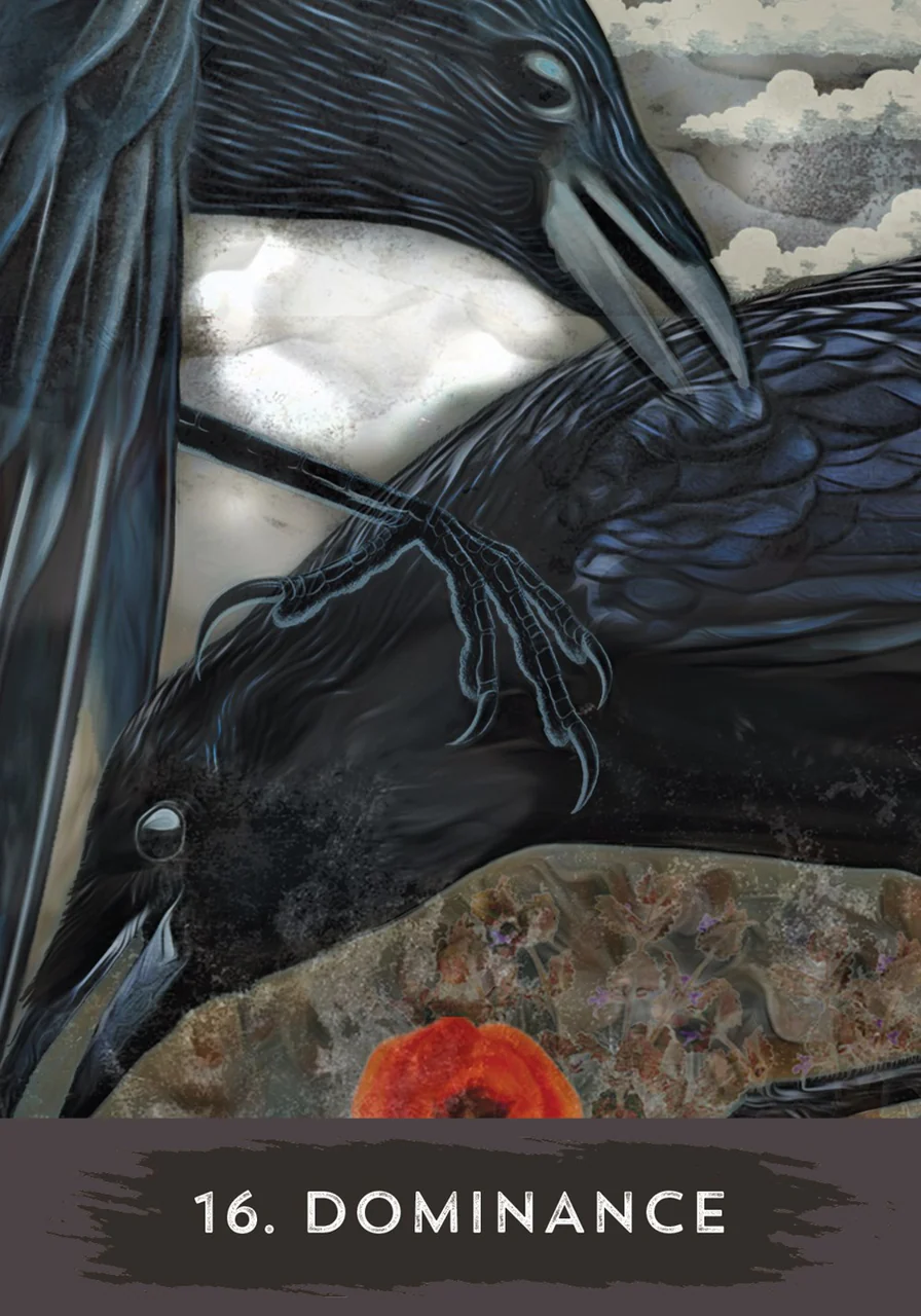 Urban Crow Oracle Cards